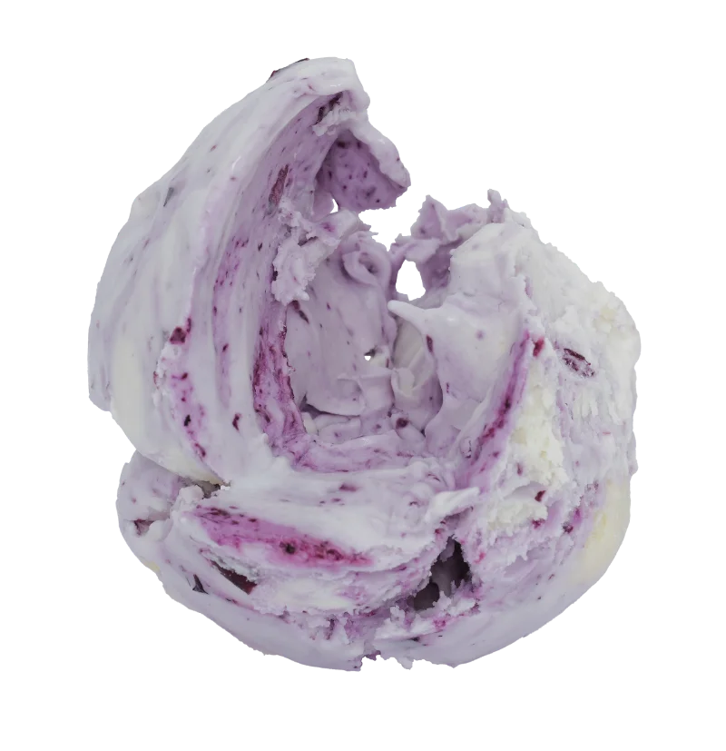 BLUEBERRY CHEESECAKE