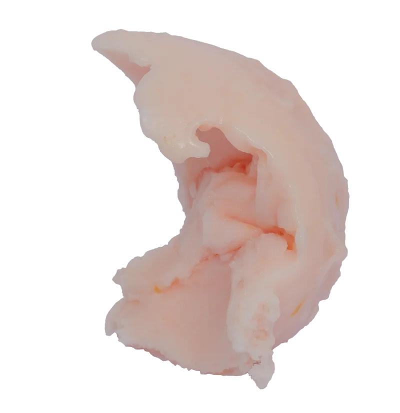 GRAPEFRUIT SORBET